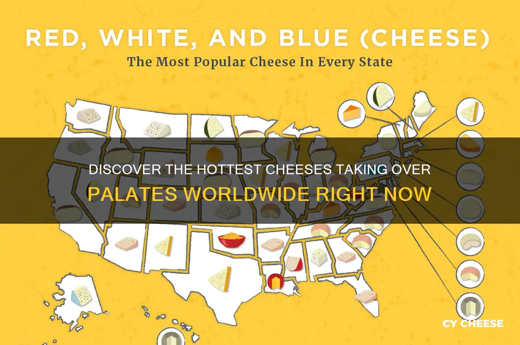 what cheese is trending