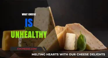 Unhealthy Cheese Choices: Which Varieties to Avoid for Better Health