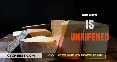 Unripened Cheese Varieties: Fresh, Soft, and Ready to Enjoy