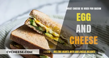 Best Cheeses for Bacon, Egg, and Cheese Sandwiches