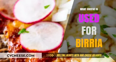 Cheese for Birria: Melty, Gooey, and Delicious