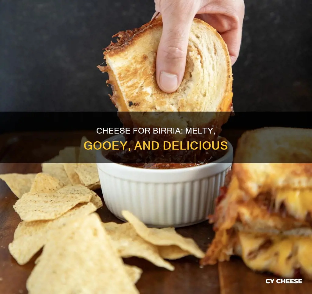 what cheese is used for birria