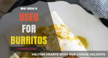 Cheese Options for Burritos: Know Your Melts