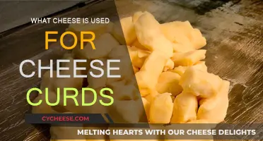 Cheese Curds: What's the Best Cheese for Curds?