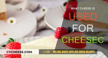 Cheese Types for Cheesecake: Know the Best Combinations
