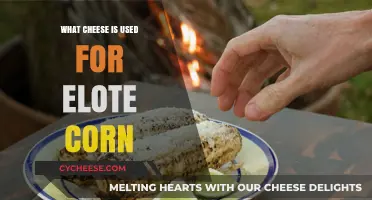The Perfect Cheese for Elote: A Guide
