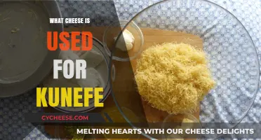 Kunefe: The Cheesy Delight and its Secret Ingredient