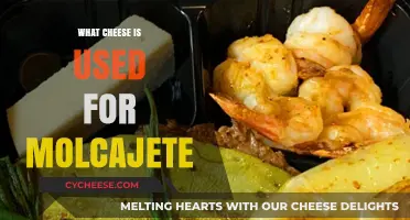 Cheese for Molcajete: Oaxacan and Panela, the Perfect Pair