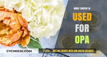 Cheese Choice for Opa: Halloumi, the Perfect Fry