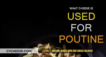 The Best Cheeses to Use for Poutine