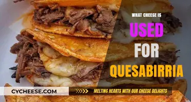 Cheese Pulls: Quesabirria's Melty, Stretchy, Cheesy Goodness