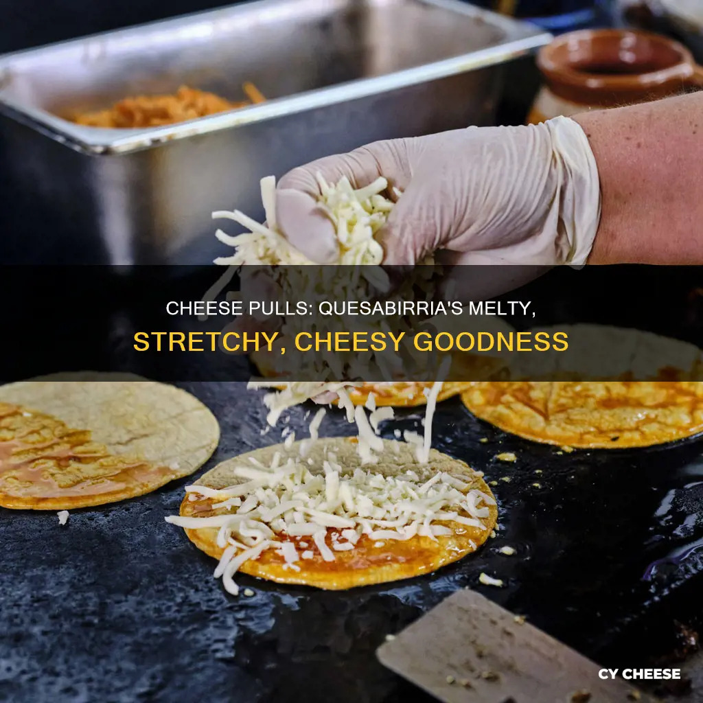 what cheese is used for quesabirria