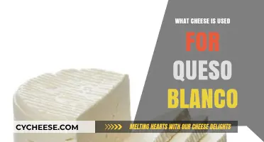 Best Cheeses for Making Delicious Queso Blanco