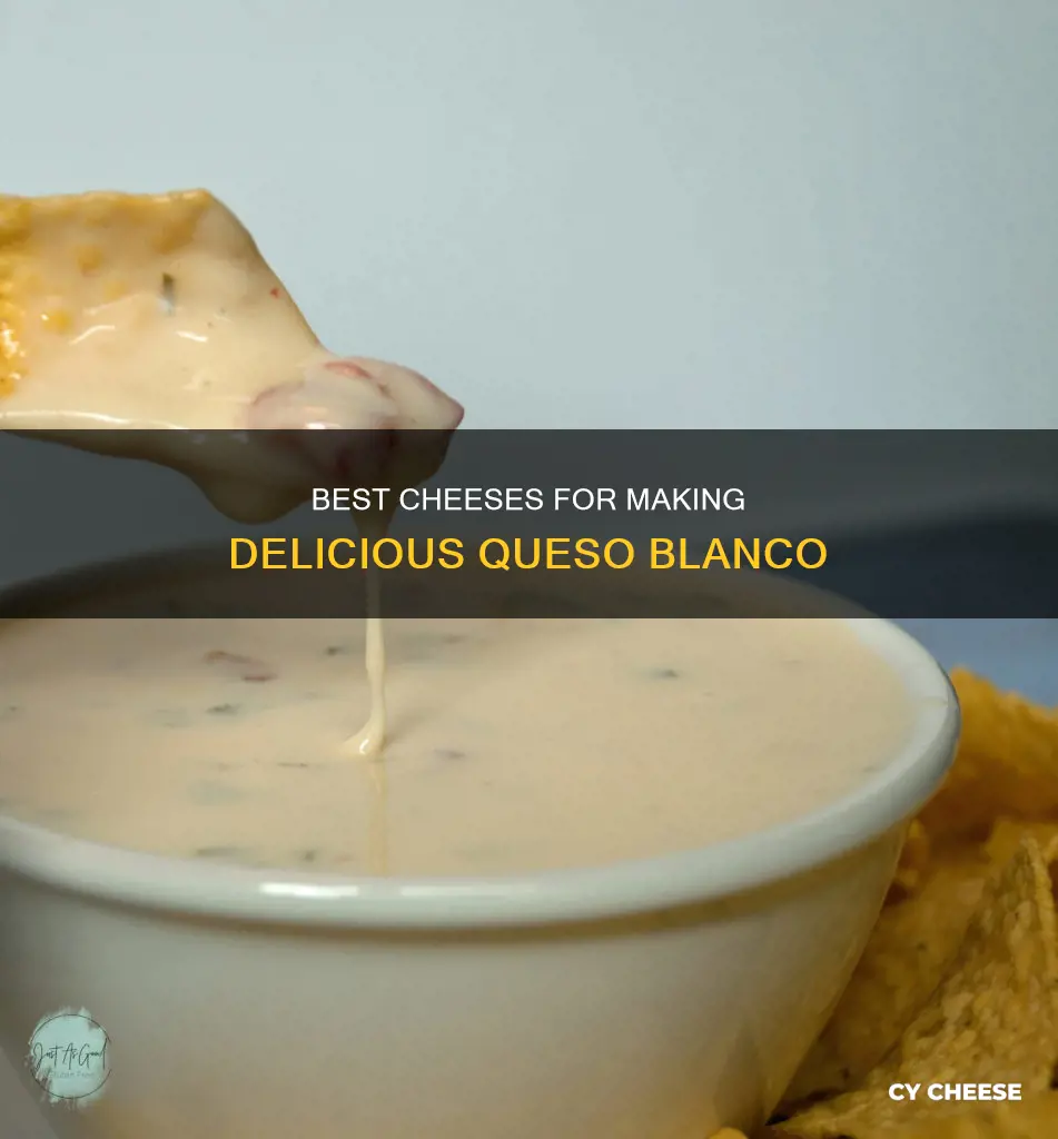 what cheese is used for queso blanco