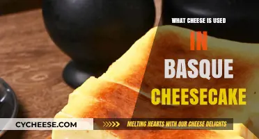 Basque Cheesecake: The Secret Cheese Revealed