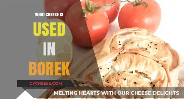 Borek Cheese: The Ultimate Guide to Turkish Delights