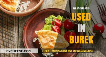 Cheese Choices for Burek: What's Inside?
