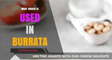 Mozzarella and Cream: The Burrata Cheese Blend