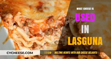 Cheese Options for a Delicious Lasagna