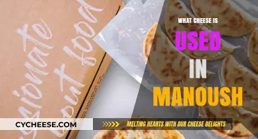 Manakish Cheeses: The Best Varieties to Try