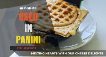 Panini Cheese: Which Types Melt the Best?
