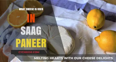 The Cheese in Saag Paneer: A Tasty Mystery Solved