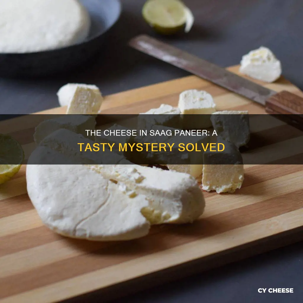 what cheese is used in saag paneer