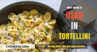 Cheese in Tortellini: What's the Perfect Choice?