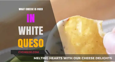 Finding the Perfect Cheese for White Queso