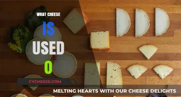 The Best Cheeses to Use in Your Cooking