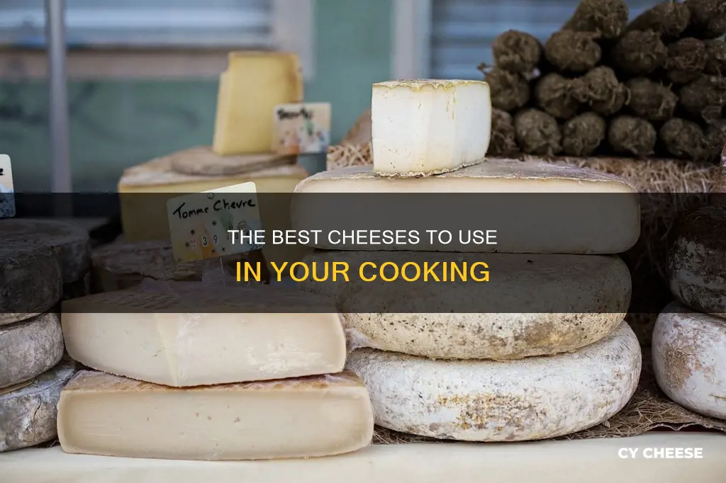 what cheese is used o