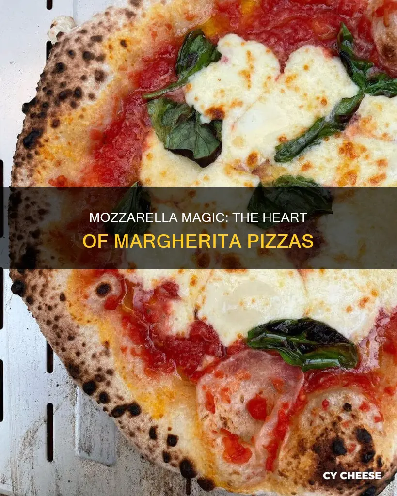 what cheese is used on a margherita pizza