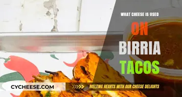 Birria Tacos: What's the Best Cheese to Use?