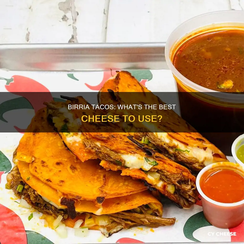 what cheese is used on birria tacos