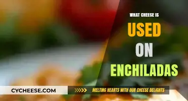 Cheese Enchiladas: The Perfect Melty Combo