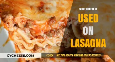 Lasagna Cheese: The Best Cheeses for a Hearty Dish