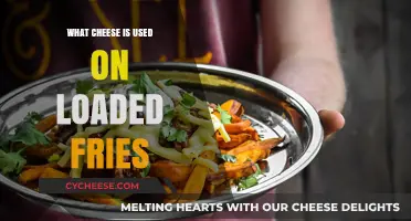 Cheese Choices for Ultimate Loaded Fries
