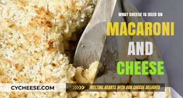 Mac and Cheese: What Cheeses Make the Perfect Blend?