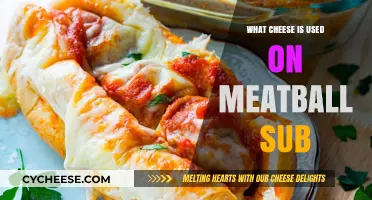 Cheese Choices for Meatball Subs
