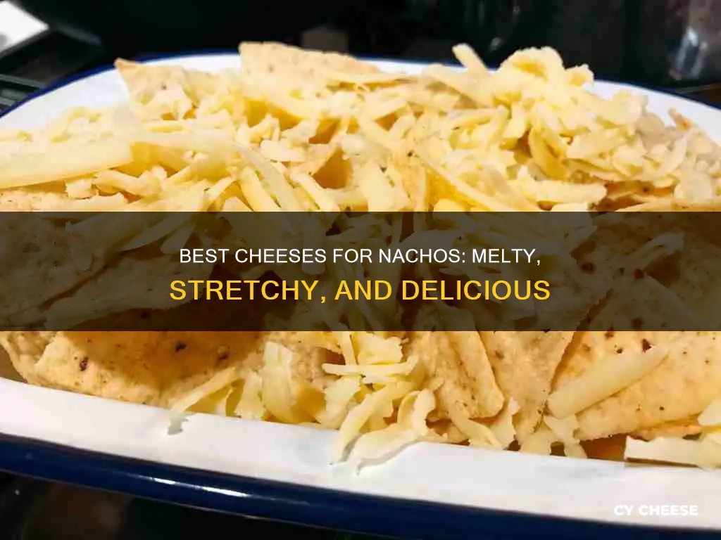 what cheese is used on nachos