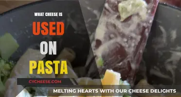 Cheese and Pasta: The Perfect Pairing