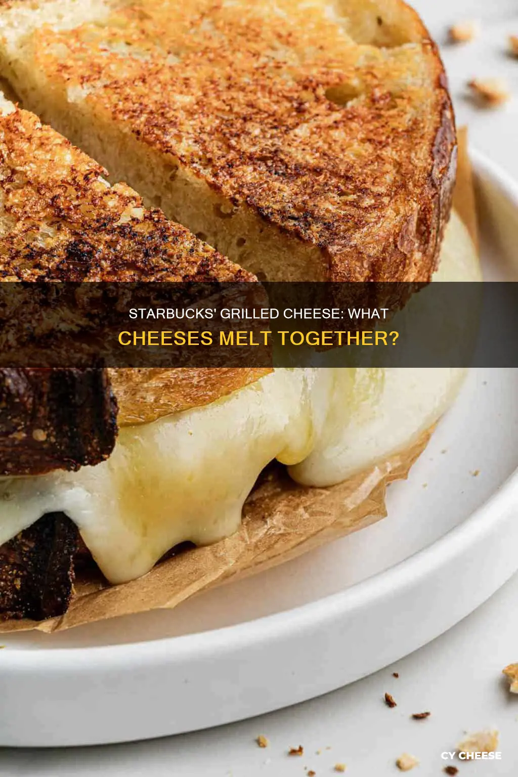 what cheese is used on starbucks grilled cheese
