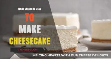 Cheese for Cheesecake: The Creamy, Dreamy Curd