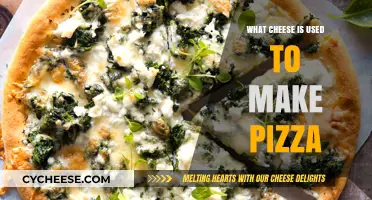Cheese Secrets: The Perfect Pizza Topping