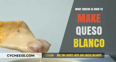 Best Cheeses for Making Delicious Queso Blanco