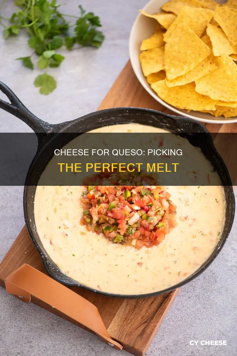 what cheese is used to make queso