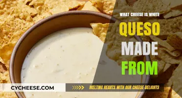 Unveiling the Secrets: White Queso's Cheesy Origin Story