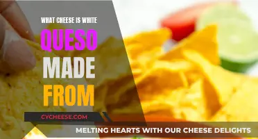 White Queso: What Cheese is This Dish Made From?
