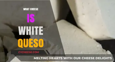 What is White Queso? Unveiling the Creamy Cheese Mystery