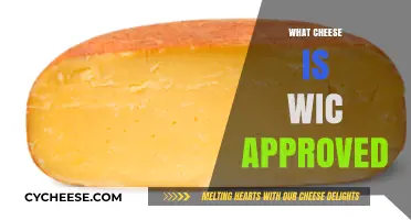 WIC-Approved Cheeses: A Guide to Eligible Dairy Options